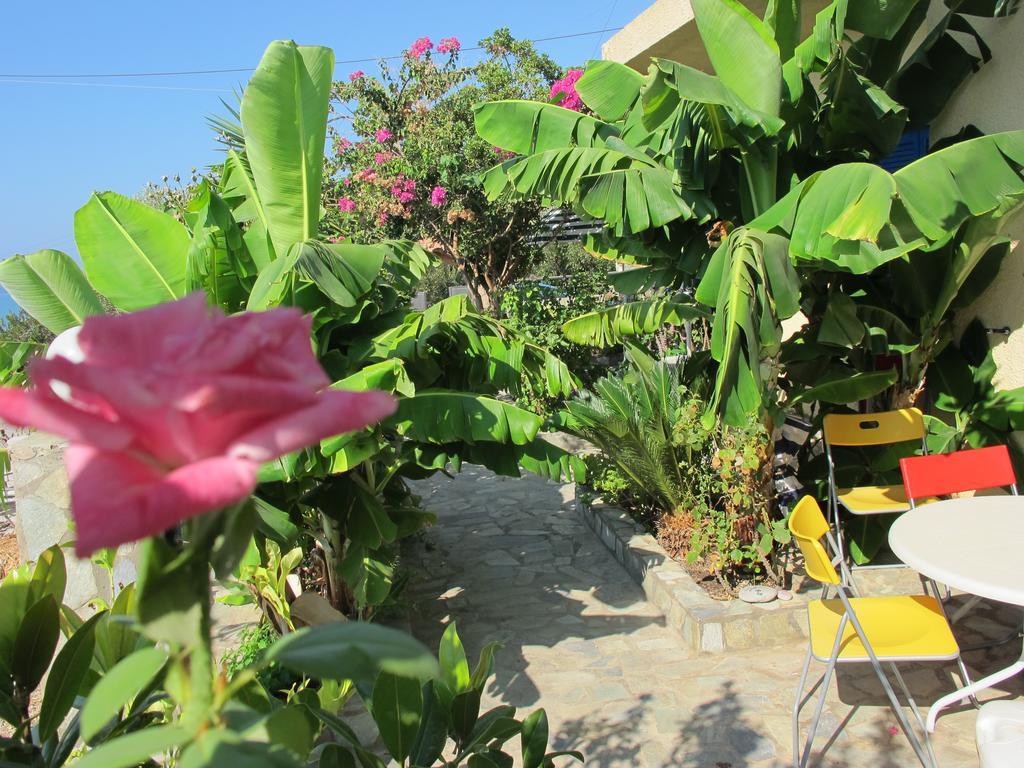 Porto Kastri Studios Bilik gambar